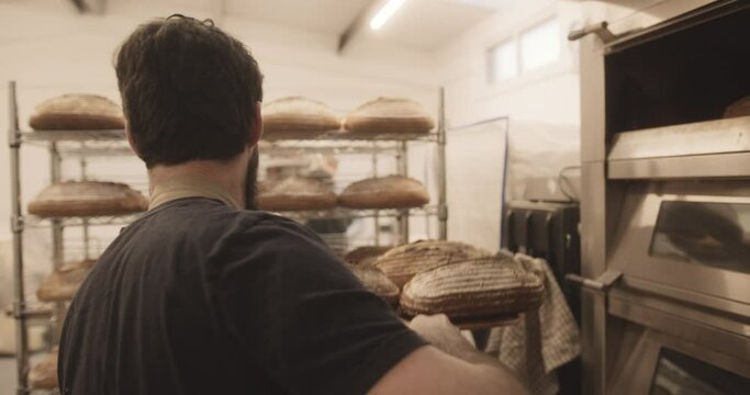 Bearded male baker taking baked sourdough bread out of the oven wearing apron in bakery
