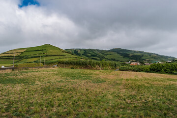 Grass in field with green pasture hills on a cloudy day on the island of São Miguel - Azores PORTUGAL