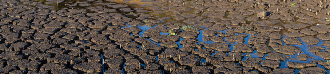 Earth cracked because of drought. The global shortage of water on the planet. Global warming concept.