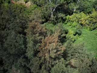 The Nepean River Weir, Penrith, on a sunny blue sky day.