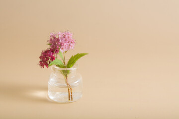 miniature pink wildflower in a glass bottle on a beige background. Minimalism concept, greeting card with copy space