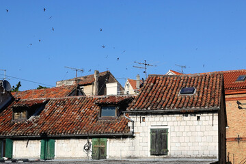 Old Mediterranean houses in Split, Croatia. Flock of birds flying above. 