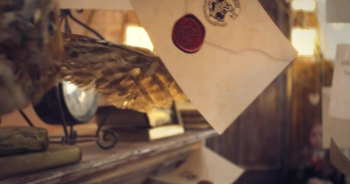 Stuffed owl among letters flying around in a classroom with little girl student