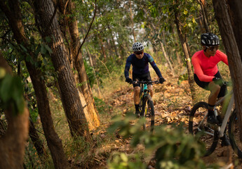 Group of Asian cyclists, they cycle through rural and forest roads.