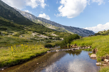 Naklejka na ściany i meble Landscape with Banderitsa River, Pirin Mountain, Bulgaria