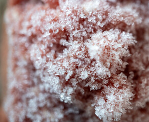carne cruda congelada