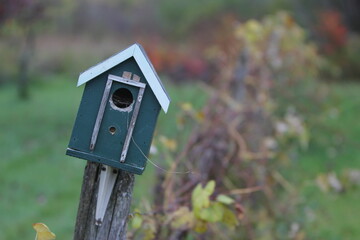Homemade Wooden Birdhouse