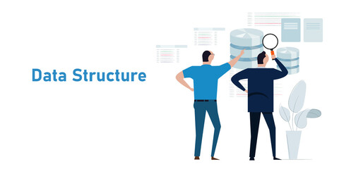 data structure database analyst looking into schema information