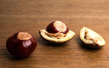 Buckeye Chestnut and conker in shell on wood.