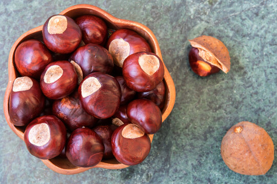 Buckeye Chestnut in wooden bowl on marble surface. Top View formation of Fresh conkers.