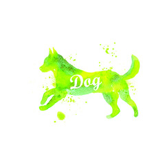 illustration of animals