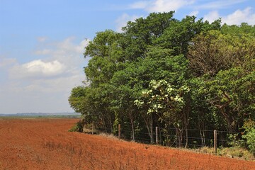 Fazenda Sustentável tem Reserva Legal e APP conservada. Mato Grosso, Brasil. 