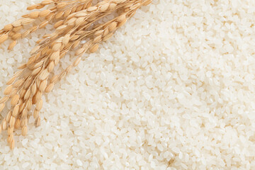 お米と稲の背景素材