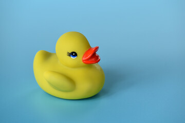 yellow duck