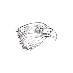 eagle head illustration