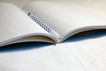 Ballpoint pen lying on an open blank notebook, office, school, training, education