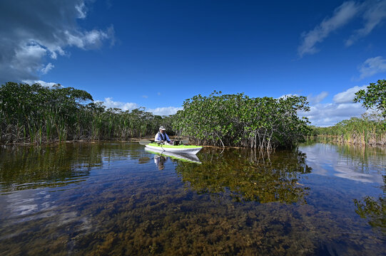 Active Senior Kayaking On Nine Mike Pond In Everglades National Park, Florida.