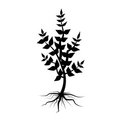 Plant silhouette with root. Tree vector icon. Nature background vector. Stock image. EPS 10.