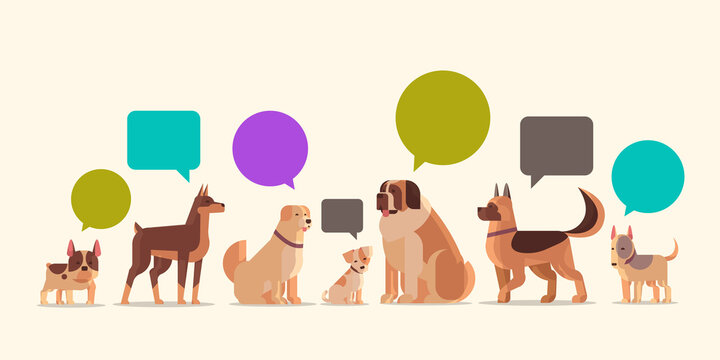 group of purebred dogs with chat bubble speech furry human friends home pets collection concept cartoon animals horizontal