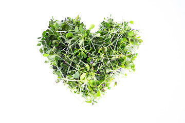 Brassica broccoli and red cabbage microgreens in heart shape