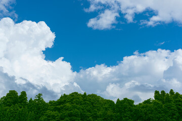 Blue sky, clouds and forest. 青空と雲と森