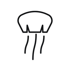 Jellyfish icon design. vector illustration