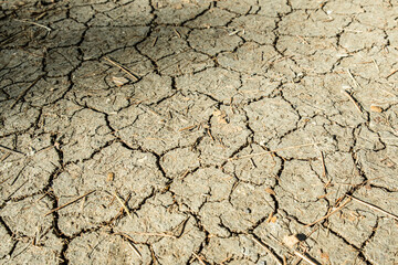Brown dry cracked ground with dried old leaves. Dried clay texture and patterns cracked surface of clay and land.