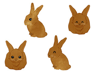 Smiling Brown Color Mini Rex Rabbits