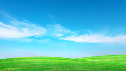 Green meadow with blue sky Summer meadow background concept on a nice day.