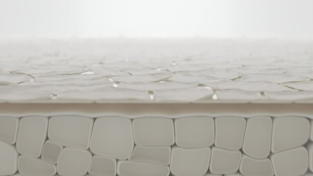 Dry, cracked skin surface cross section, camera truck. 3d animation. Light skin peeling set.