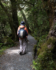 Tourist hiking in the lush green forest of Lake Marina track in Fiordland National Park. Vertical...