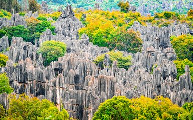Naklejka premium Scenic view of Shilin major stone forest with bright autumn colours Kunming Yunnan China