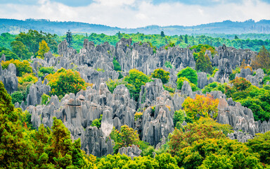 Panoramic landscape view of Shilin major stone forest with bright autumn colours Kunming Yunnan...
