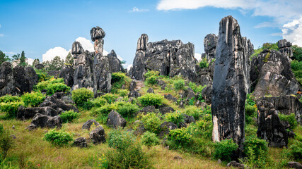 Shilin minor stone forest view with green nature and blue sky in Yunnan China