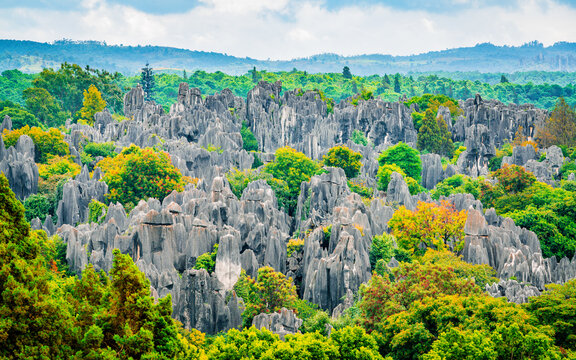 Panoramic landscape view of Shilin major stone forest with bright autumn colours Kunming Yunnan China
