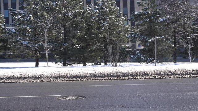 Cars are passing both sides of a busy street. In the middle, you can see trees with snow on the ground during winter.