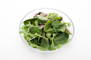 新鮮なベビーリーフ