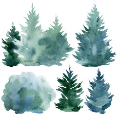 Set of spruce trees on an isolated white background. Watercolor illustrations