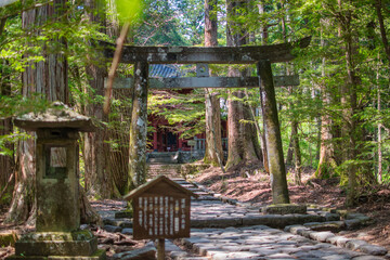 栃木県日光の滝尾神社の風景