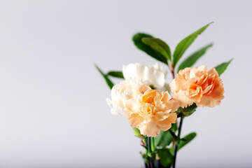 Orange and white carnations in glass vase on white background. Selective focus.