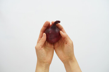 Onion in the hands