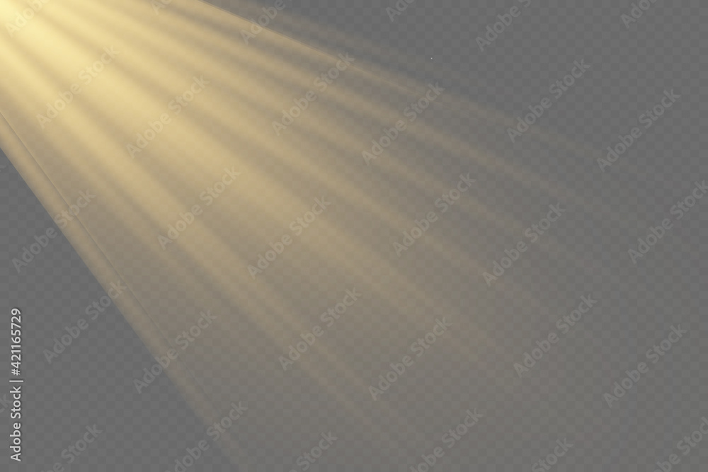 Wall mural light flare special effect with rays of light and magic sparkles. glow transparent vector light effe