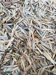Dry fallen autumn leaves oh the ground
