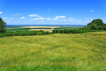 Obraz premium Picturesque summer landscape with grass lawn on foreground, three women afar on meadow