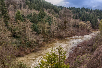Fototapeta na wymiar Coquille river in early spring. View from above. Oregon, USA