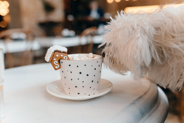 The mug with the christmas decorations and cookie on edge