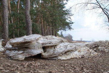 the remains of an ice floe lying on the bank of the Vistula River near Płock