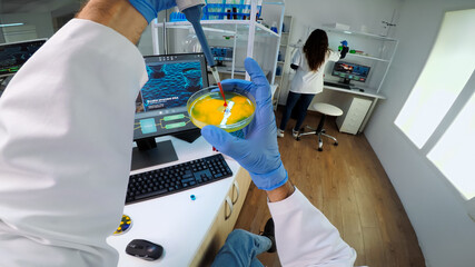 POV of scientist using micropipette for analysing blood sample putting in petri dish. Team of researchers examining virus evolution using high tech for vaccine development against covid19