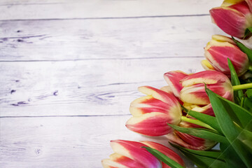 Tulips on a wooden surface. Beautiful natural background.