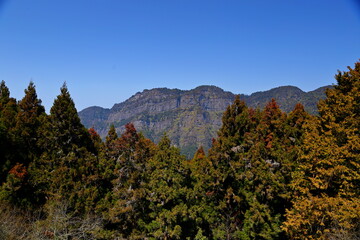 Alishan National Forest Recreation Area, situated in Alishan Township, Chiayi , TAIWAN